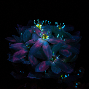 男女黄色裸体干逼逼
